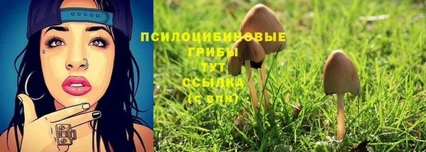 гидра Абдулино