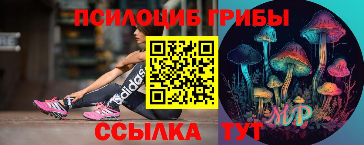 как найти   Вход с VPN  Тихвин  Псилоцибиновые грибы ЛСД 
