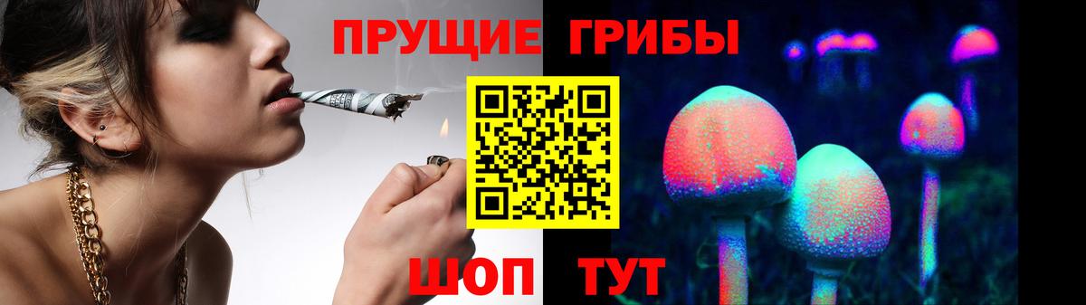 Галлюциногенные грибы Psilocybine cubensis Тихвин