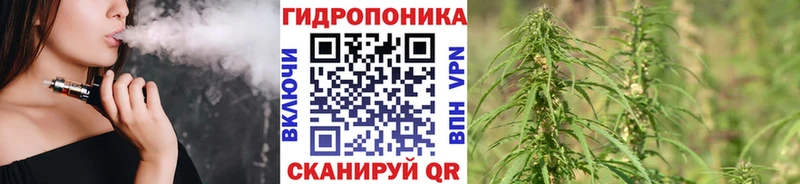 ссылка на мегу маркетплейс Тихвин Каннабис сатива